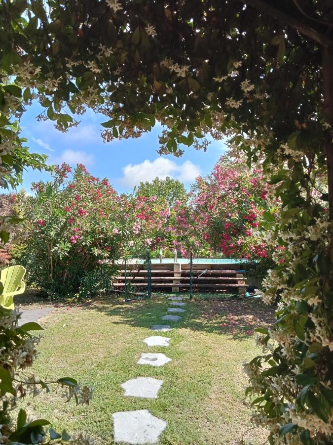 Villa Cosy En Provence Maillane Esterno foto